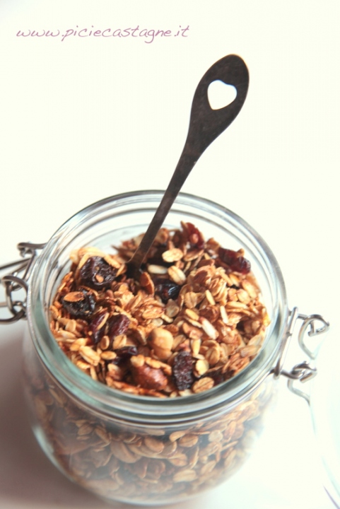 granola7