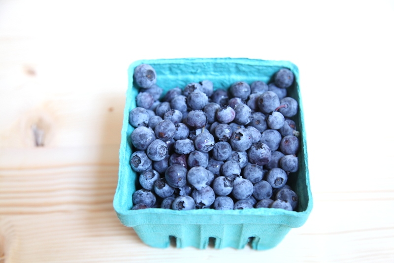 pici-e-castagne-blueberry-tea-bread-3