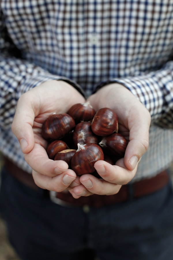 pici-e-castagne-castagne