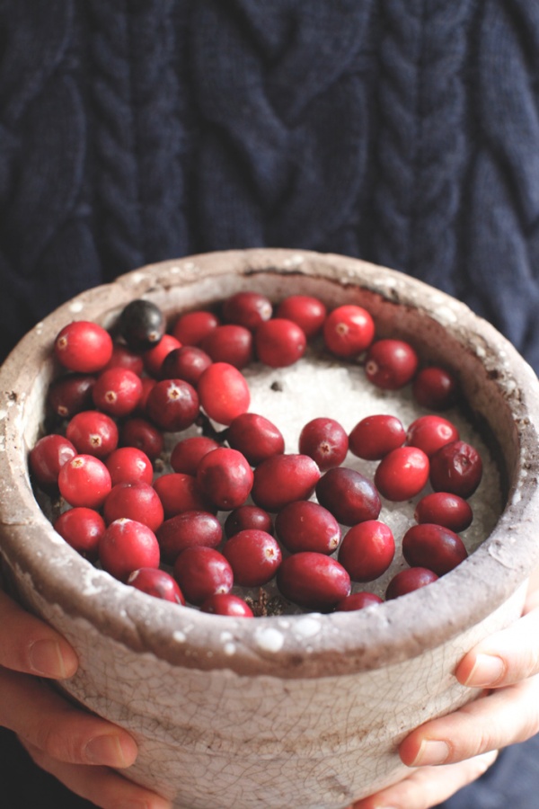 pici-e-castagne-cranberries-2