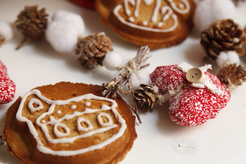 pici-e-castagne-gingerbread-cookies-4