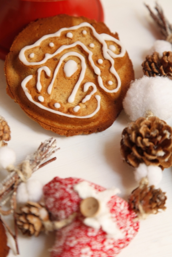 1450 600x pici e castagne gingerbread cookies Foto 1450 600x pici e castagne gingerbread cookies Foto