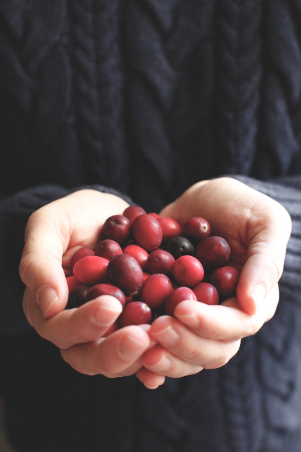 pici-e-castagne-cranberries