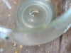labneh2