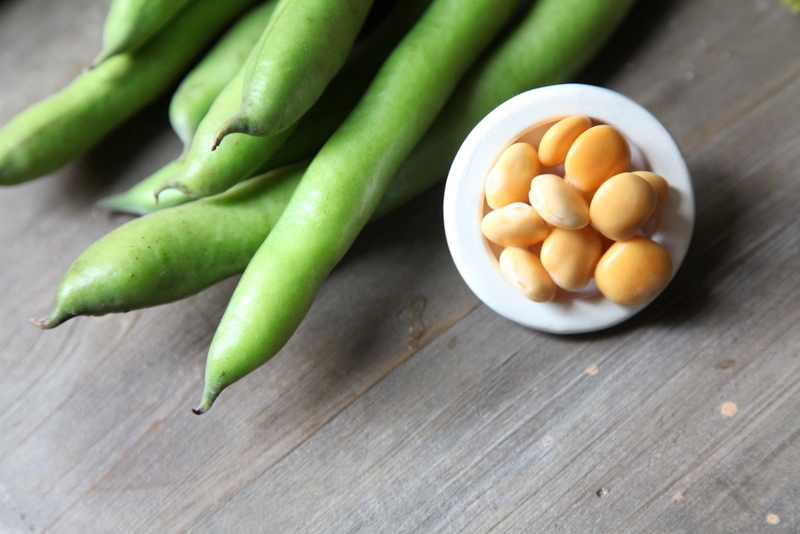 pici-e-castagne-polpette-fave-e-lupini-7