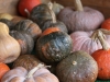 zucca1