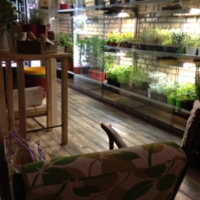 <span class="corsivo">Snippets Of Our Life </span> : : AROMATICUS