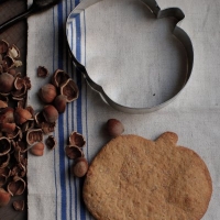 <span class="corsivo"> The Perfect Bite </span> : : BISCOTTI ALLA ZUCCA