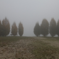 <span class="corsivo">Snippets Of Our Life </span> : : BIOLOGICO, BIODINAMICO, ECOR NATURASI'