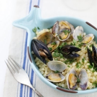 <span class="corsivo"> Summer </span> : : FREGOLA SARDA CON COZZE E VONGOLE 