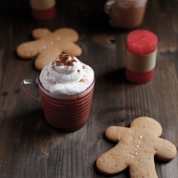 <span class="corsivo"> The Perfect Drink </span> : : GINGERBREAD LATTE