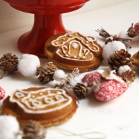 <span class="corsivo">Christmas Favors </span> : : GINGERBREAD COOKIES