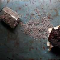 <span class="corsivo"> The Perfect Bite </span> : : TORTINE AL CACAO CON OLIO E LAVANDA