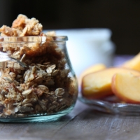 GRANOLA ESTIVA AL COCCO