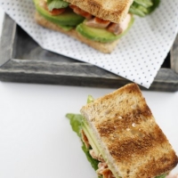 <span class="corsivo"> The Perfect Bite </span> : : TOAST CON SALMONE ED AVOCADO